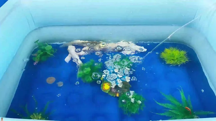 Let's explore what fish and sea creatures there are:sharks,jellyfish#goldfish#animals#viral videos