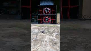 Box Nmax Vs Rdw Speaker