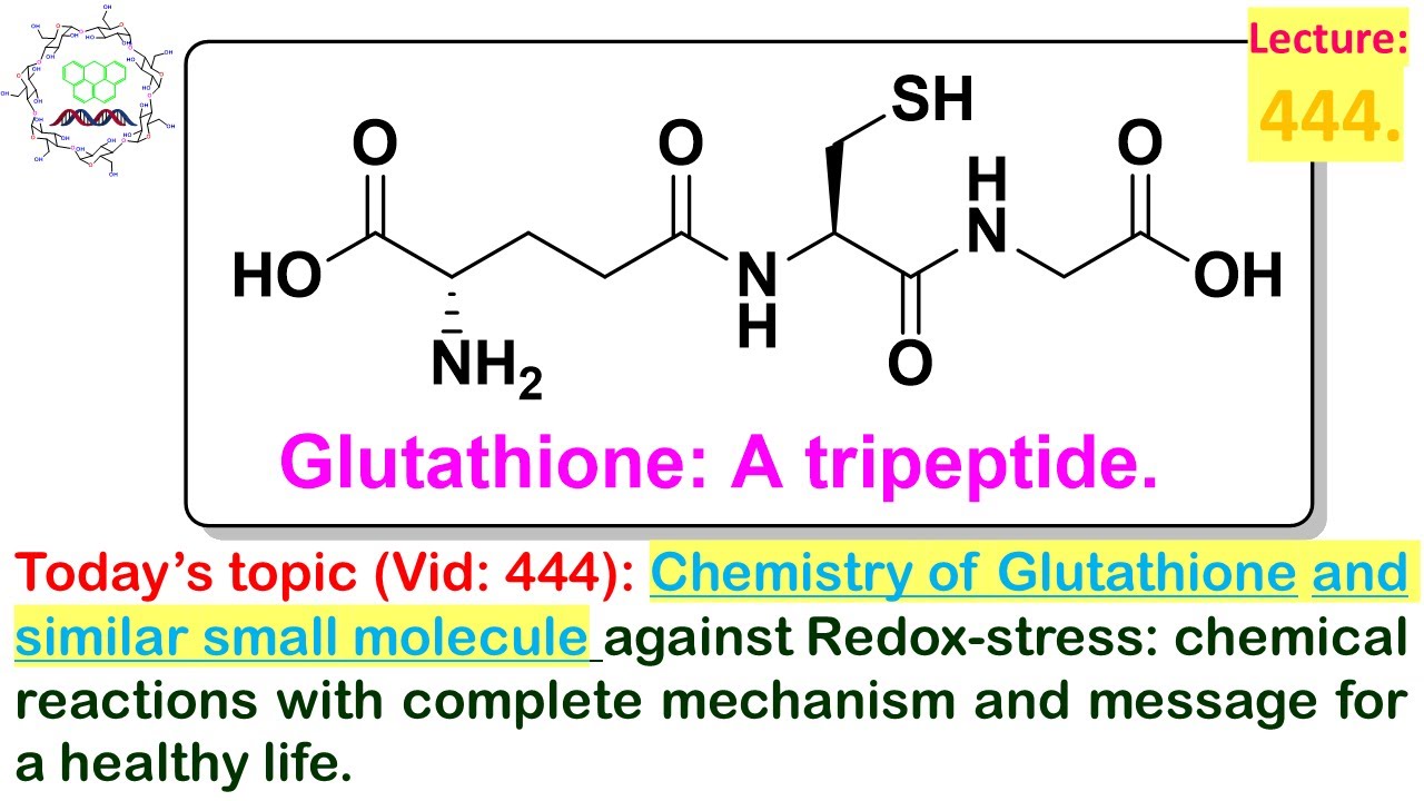 glutathione iupac name Glutathione structural formula of molecular – Royalty-Free Vector main image 0