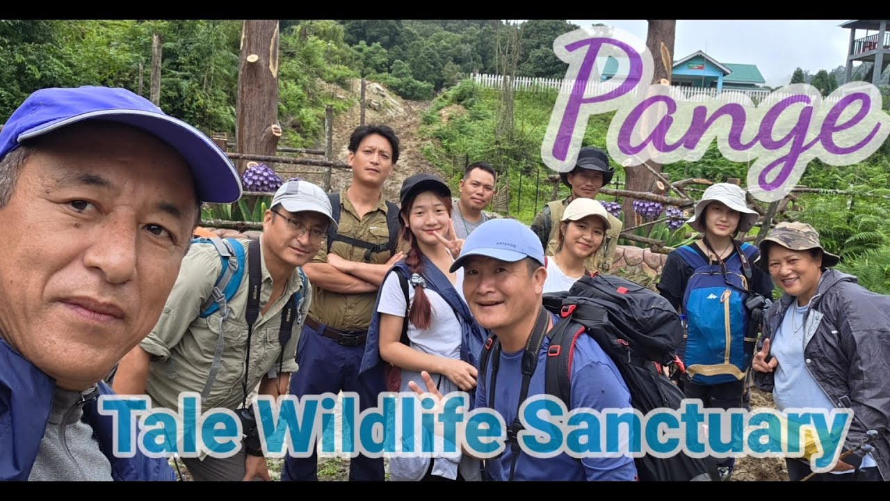 Pange | Tale Wildlife Sanctuary I Ziro I Arunachal Pradesh 