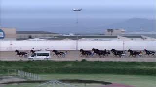 Vidéo de la course PMU PRIX ECU D'OR D