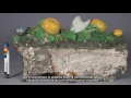 Restauro della Resurrezione di Cristo di Giovanni della Robbia