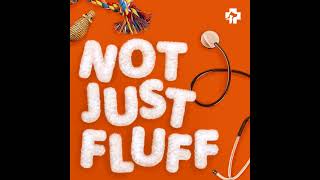 Best Fur-iends: Tips for your next veterinary visit