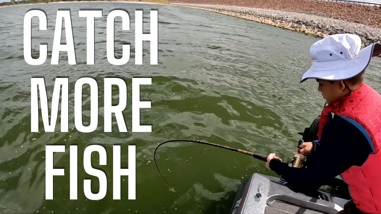 Catching 100+ Hybrid Bass and White Bass Fall Fishing | Sonar Tips