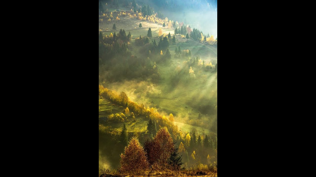 Софія Ротару - Земле моя