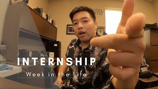 Life As an Information Technology  Intern | Pilot |