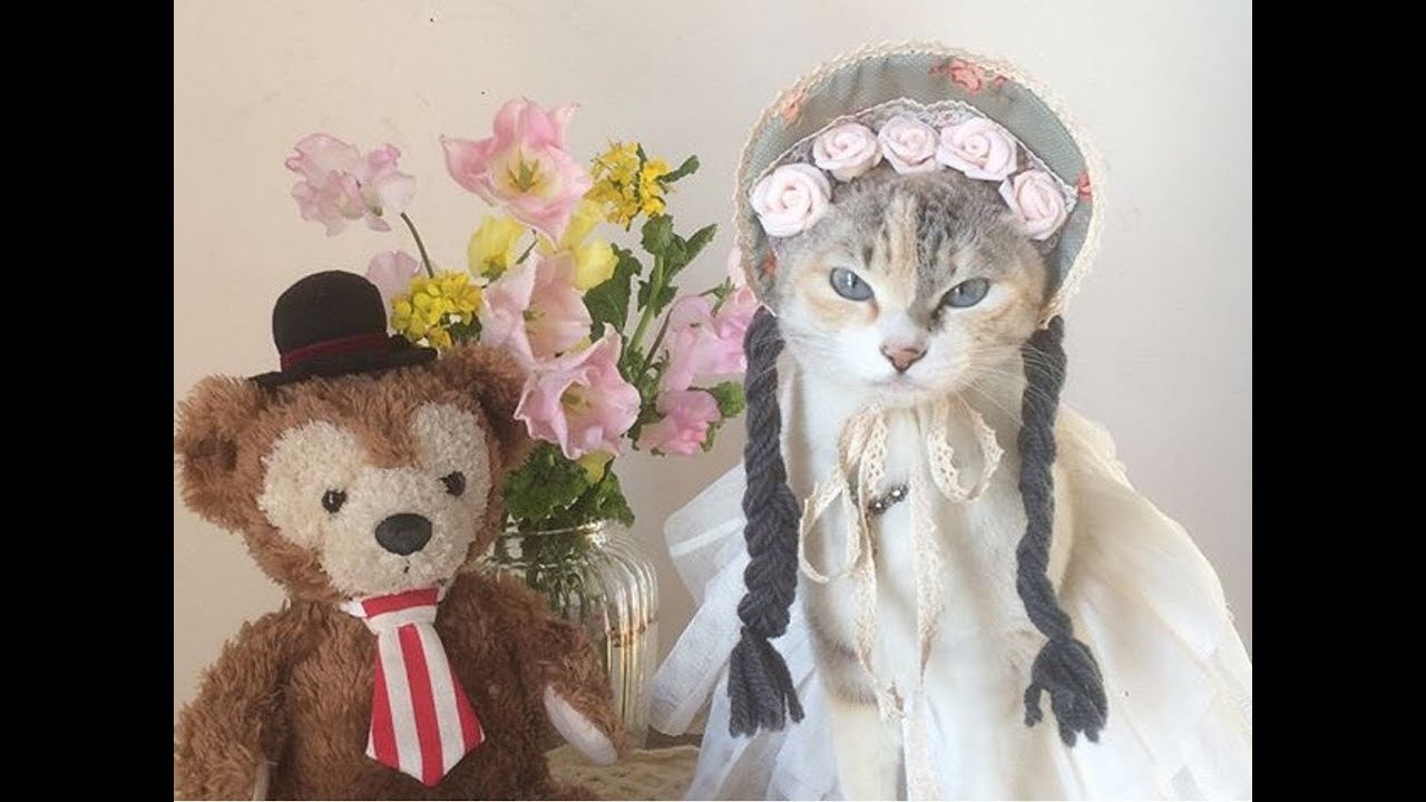 ボンネット帽子の甘い猫ちゃん アーティストベア 海外作家様 ハンドメイド 猫 ハイジ ハンドメイド コスプレ おさげちゃん ボンネット帽子