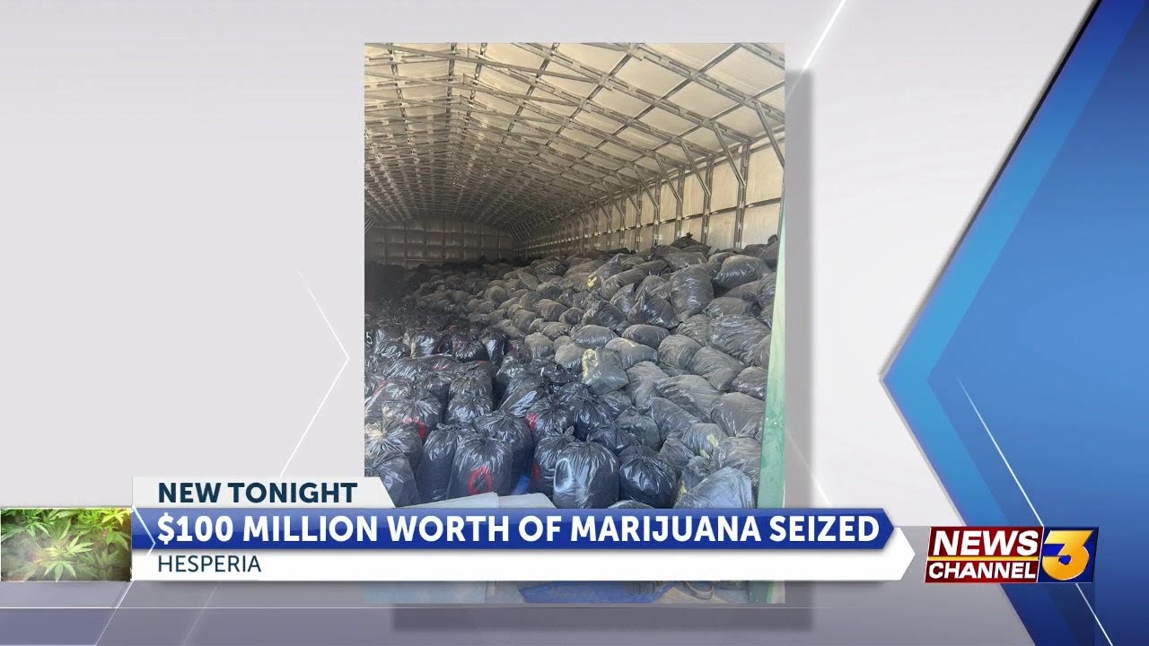 Deputies find $100 million worth of illegal marijuana in San Bernardino ...