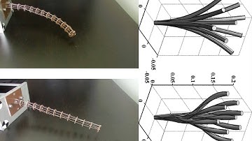 Bio-Inspired Tendon-Operated Continuum Robotics