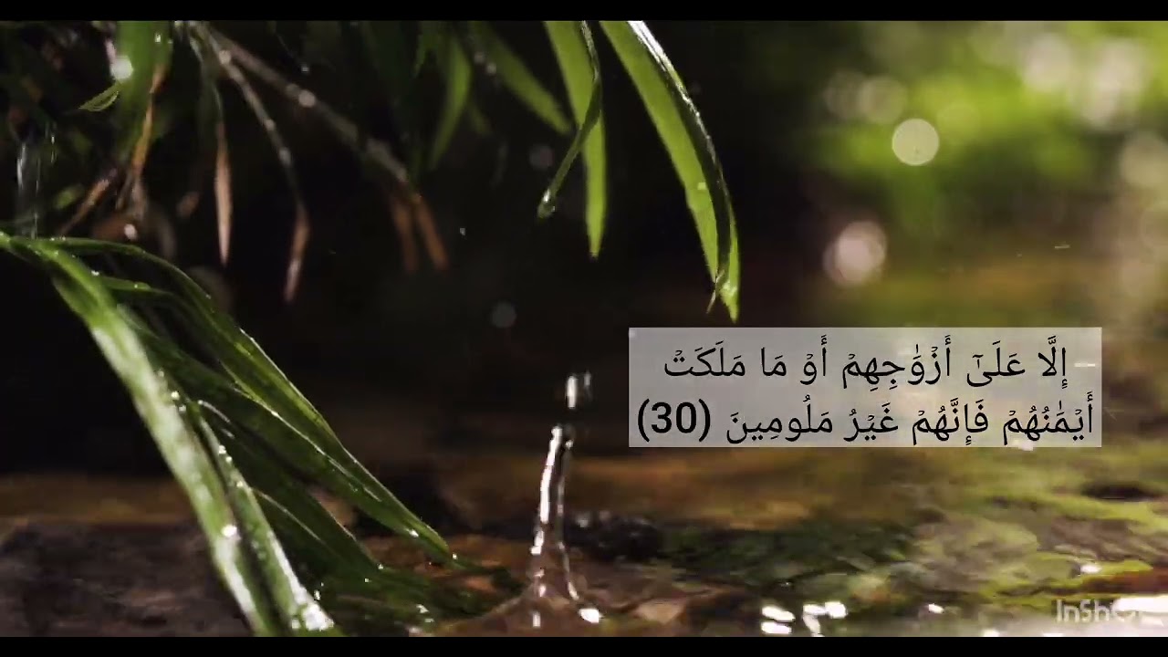  سورة المعارج من ايه 29 إلى ايه 35 مكرر 5 مرات الشيخ المنشاوي 