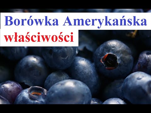 Wideo: Jagoda Borówki: Korzyści I Szkody, Przeciwwskazania