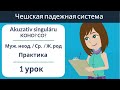 Akuzativ singuláru - KOHO? CO? | Чешские падежи | Упражнение