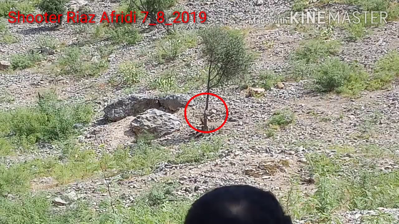 The best shooting targets video for any shooters sharp shooter group, part 126