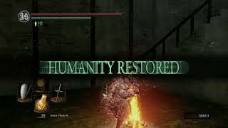 Dark Souls New Game+ Co-Op | Part 2