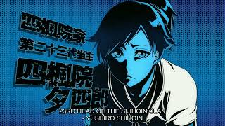 Yoruichi's Little Brother: A Surprise Introduction | Bleach TYBW EP 25 & 26