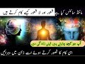        مائنڈ سائنس کیا ہے