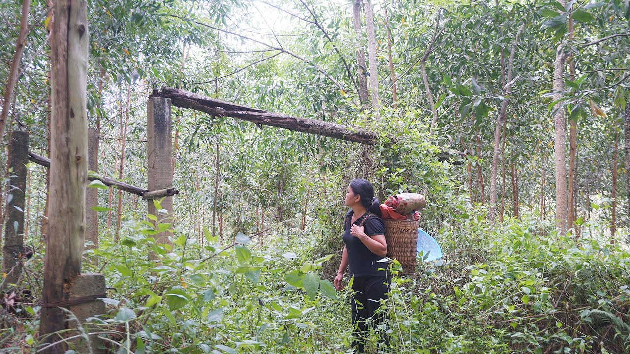 TIMELAPSE: 90 Day of Evicted Girl CLEAN UP Abandoned Houses to Survive & build Farm