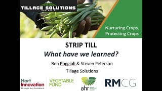 Soil Wealth ICP Webinar: Strip Tillage for vegetables & potatoes with Steve Peterson & Ben Pogiolli