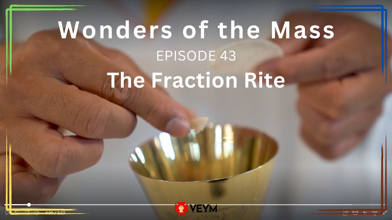 Wonders of the Mass (Episode 43): The Fraction Rite - YouTube