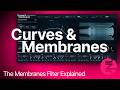 Curves &amp; Membranes Filter Walkthrough | Understanding the Membranes