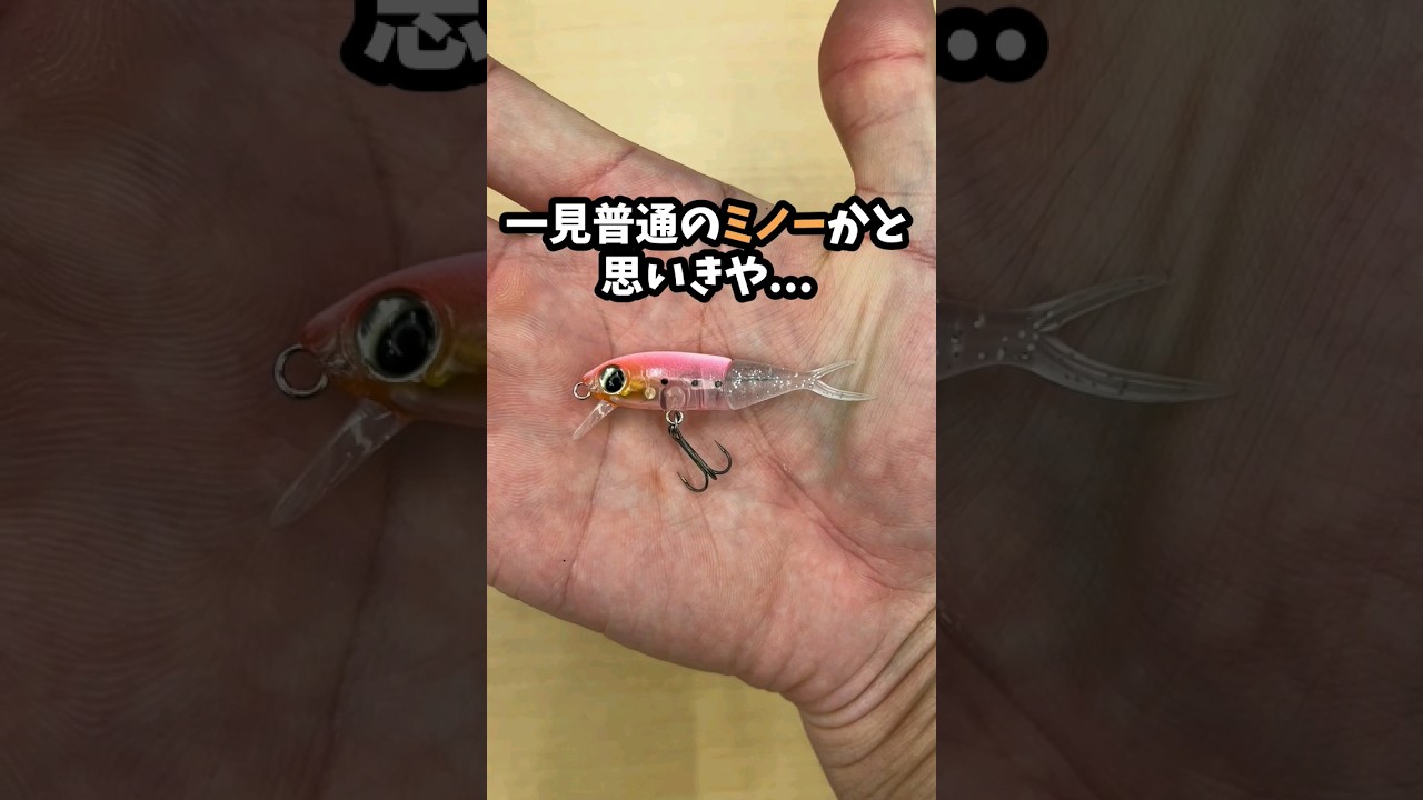 What is the new minnow 