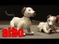 狂おしいほどかわいい「aibo(アイボ)」がきゅんきゅん鳴く動画