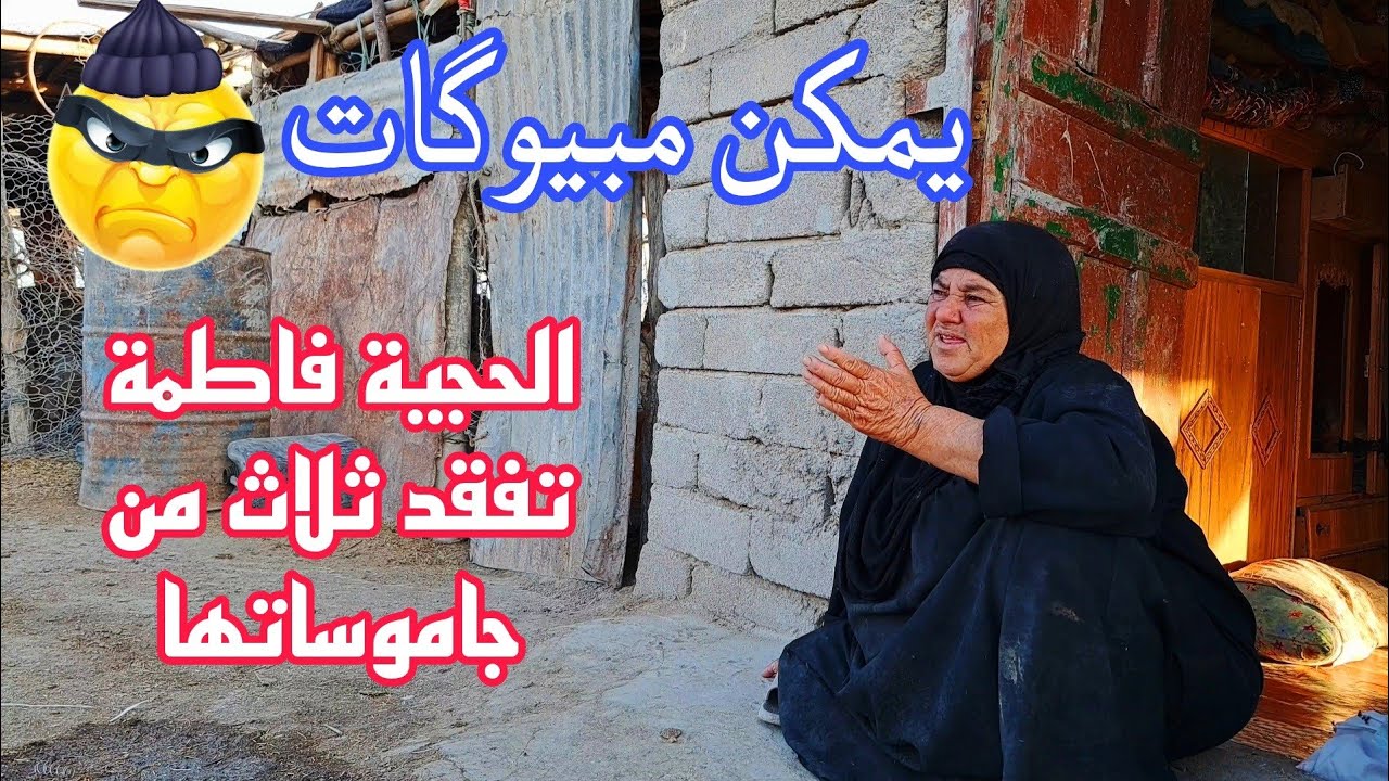 اولاد الحرام ما خلوا لأولاد الحلال حاجة فقدان  3 جاموسات للحجية فاطمة 😥