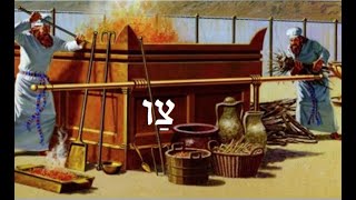 Leviticus 7:11-38 The Peace Offerings: Man's Response