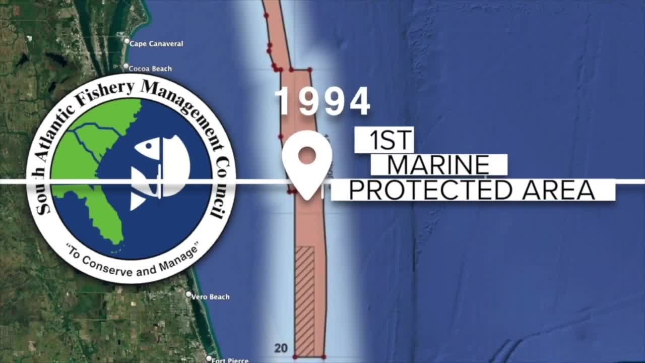 Council votes 12-1 to allow shrimp trawling on Oculina Bank