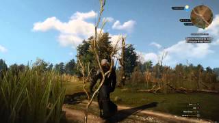 The Witcher - Terrain bug