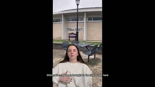Multimedia Argument