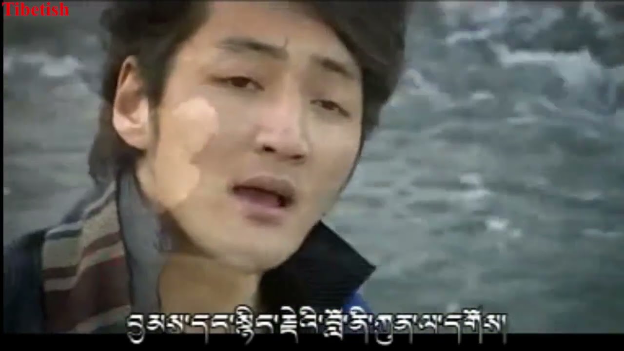 Sherten's song collection 2022 