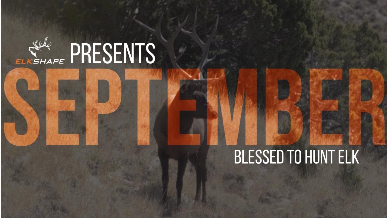 ELKSHAPE SEPTEMBER YouTube
