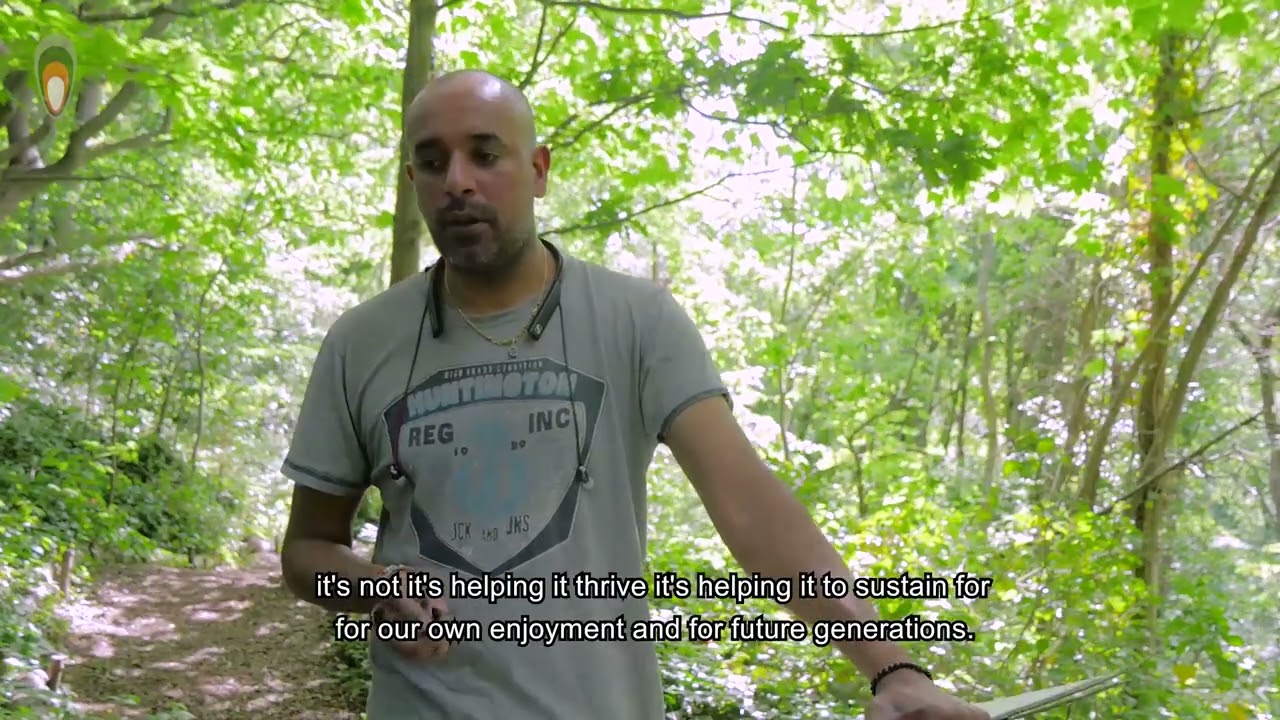 Lewisham Legends and art at the nature reserve