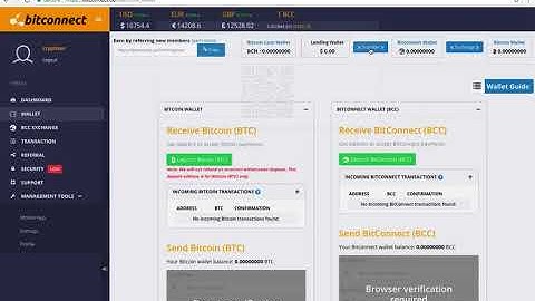 Bitconnect Introduction Video