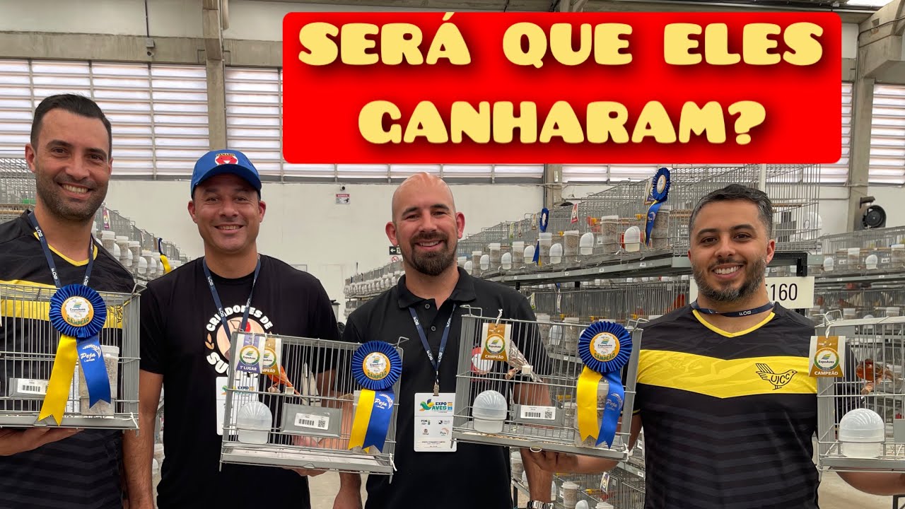 Será que eles se ferraram dessa vez?