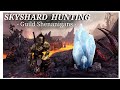 ESO - Guild Skyshard Hunting // Thegarouking Stream Clips 