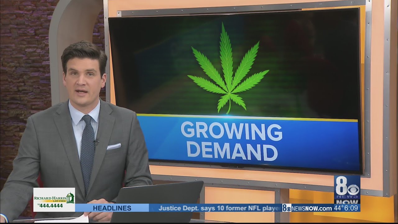 Rural Nevada pushes for pot farms