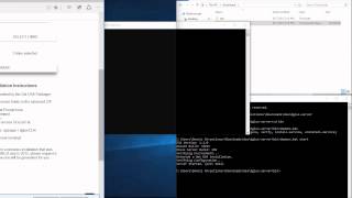 Install DSA + DGLux5 on Windows