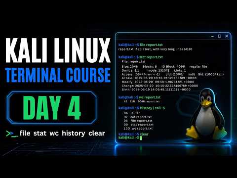 Kali Linux Day 4 | file, stat, wc, history & clear Explained
