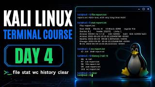 Kali Linux Day 4 | file, stat, wc, history & clear Explained