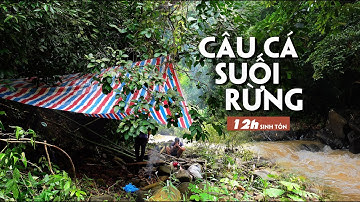 Bí Mật Câu CÁ SUỐI Rừng Mưa Nhiệt Đới Không Ai Nói Cho Bạn Biết! | Rainforest, stream fishing