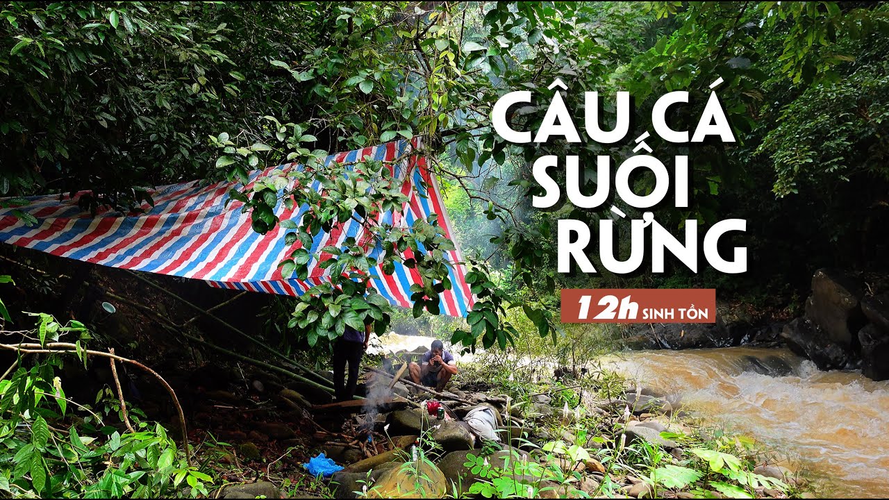 Bí Mật Câu CÁ SUỐI Rừng Mưa Nhiệt Đới Không Ai Nói Cho Bạn Biết! | Rainforest, stream fishing