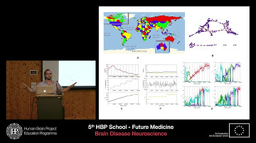 Fonseca Guerra Gabriel Andres - Real-Time Response of Spiking Neural Networks to Dynamic Constraints