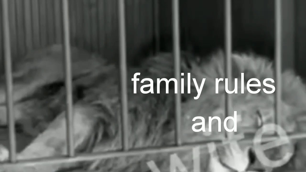 Corona and lockdown troll by charlie chaplin          so funny🤣🤣🤣🤣🤣