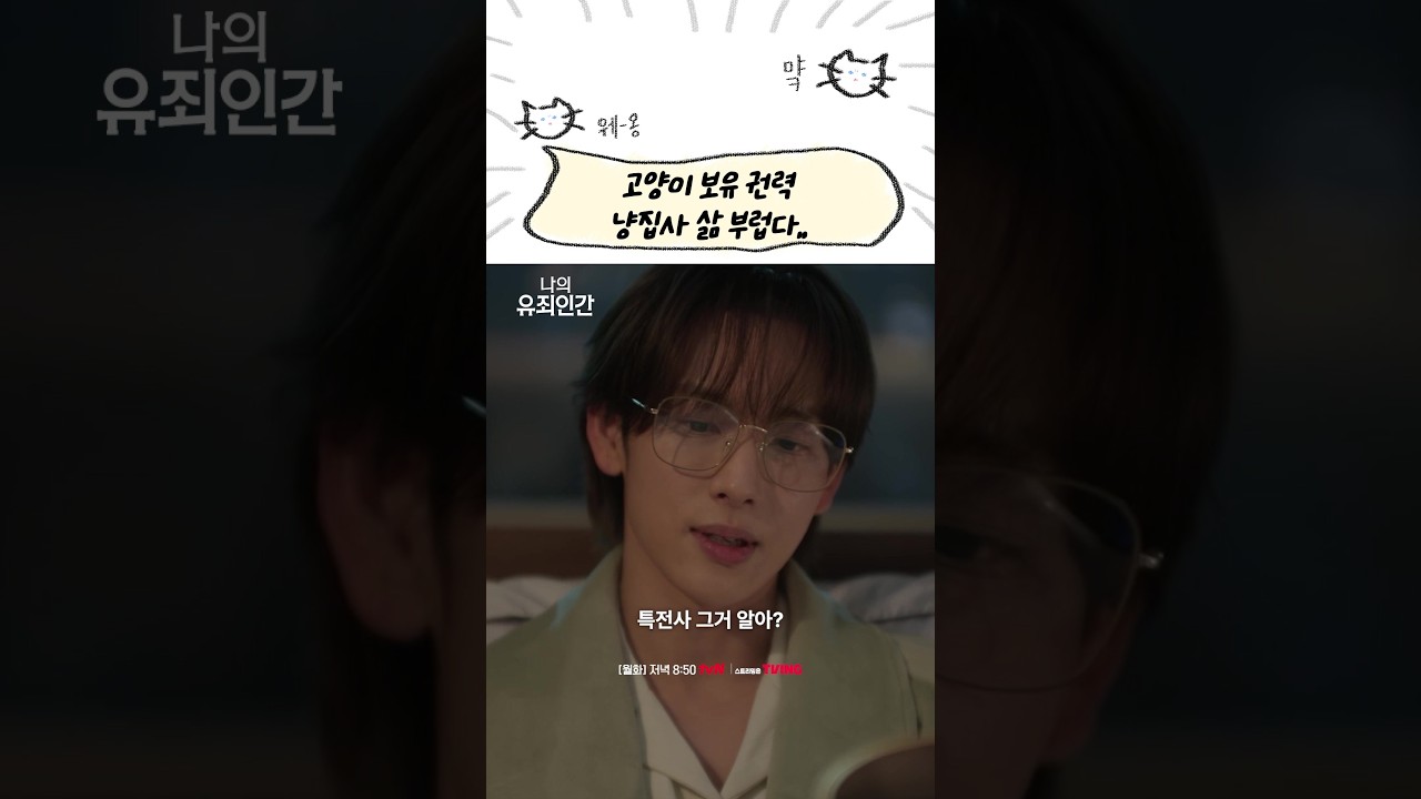 언제든 고양이를 쓰다듬을 수 있는 저 권력이 너무 부러움😾 #나의유죄인간