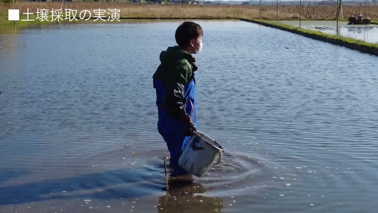 レンコン施肥診断技術の土壌分析