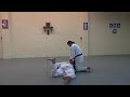 Aikido for self-defence 1 by Mori Shihan 8th Dan