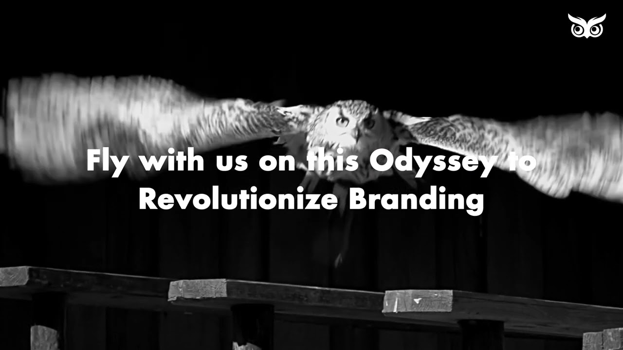 Owl Studio  |  Launch