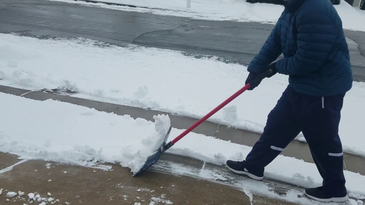 Shark Snow Shovel Tooth Function YouTube